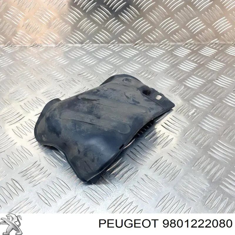 9801222080 Peugeot/Citroen 