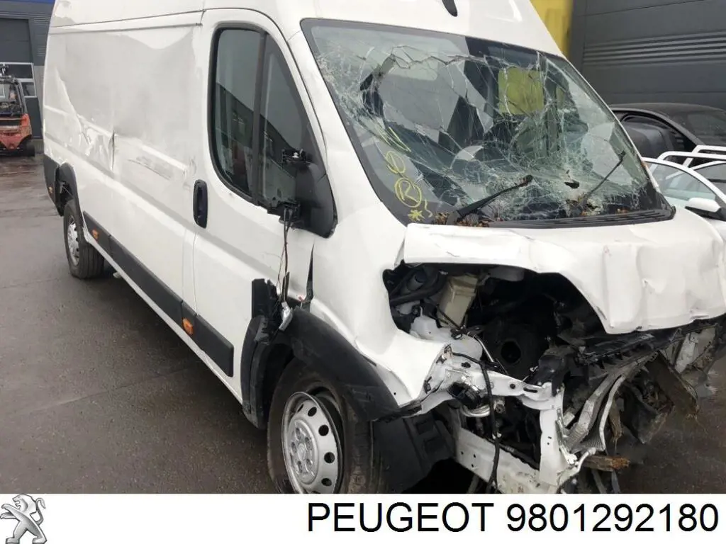 9801292180 Peugeot/Citroen 