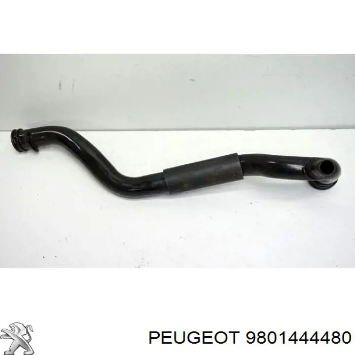 Купити 9801444480 Peugeot/Citroen Трубопроводи і шланги системи охолодження