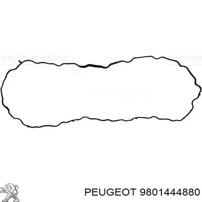 9801444880 Peugeot/Citroen Прокладка піддону картера двигуна