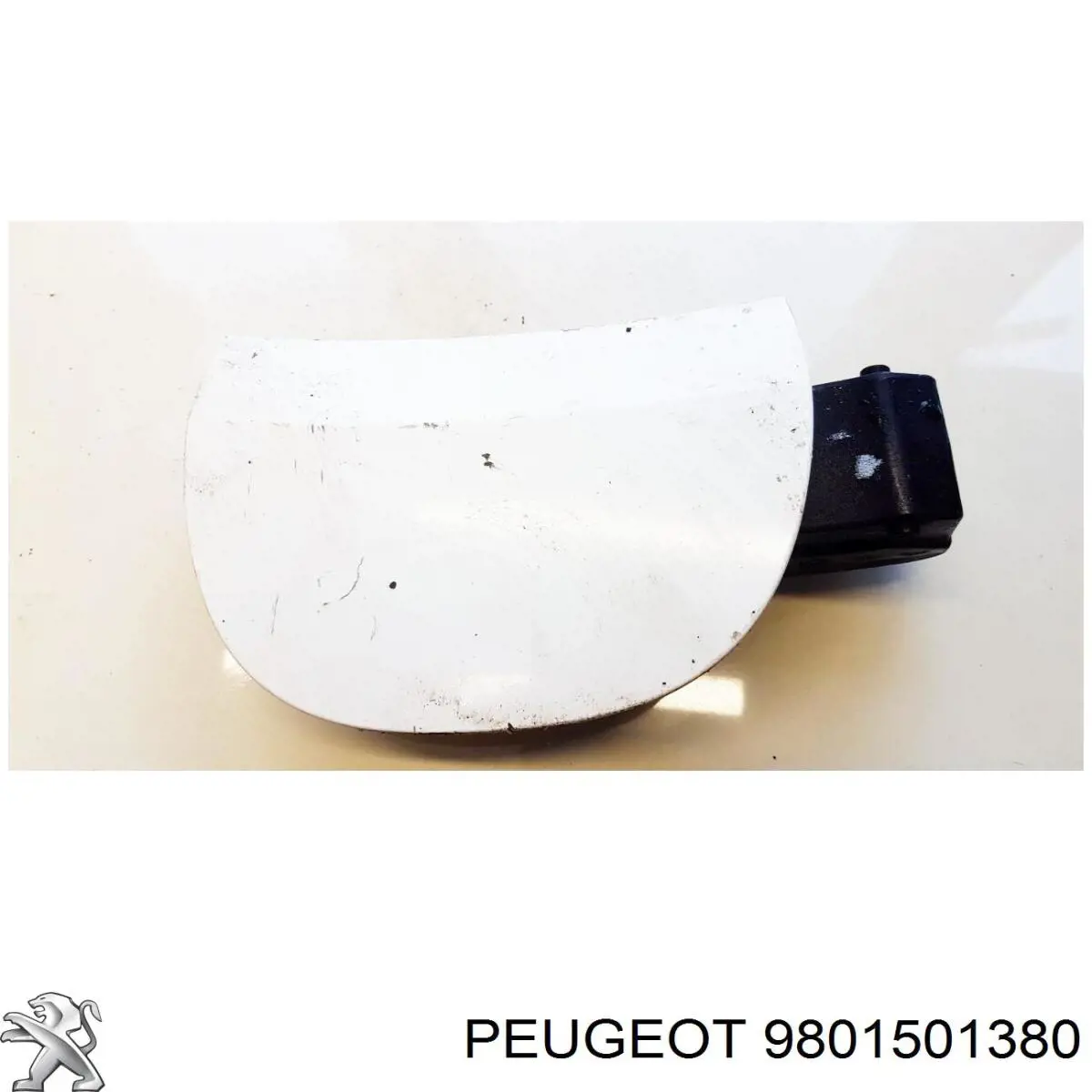9801501380 Peugeot/Citroen Заливна горловина бензобака