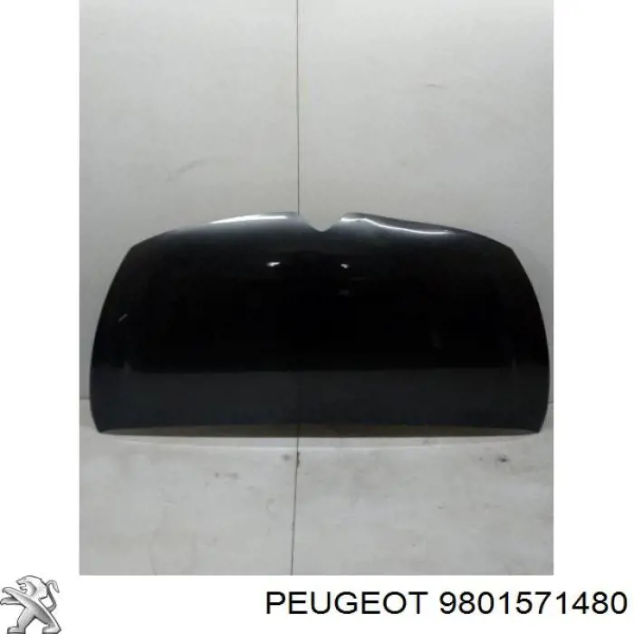 Капот Peugeot/Citroen 9801571480 ціна, від 353.57 USD