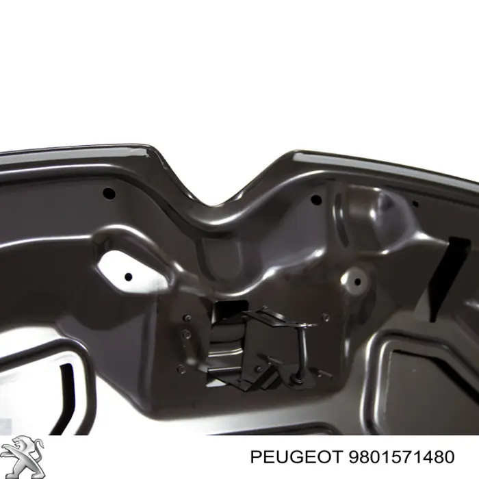 Купити 9801571480 Peugeot/Citroen Капот