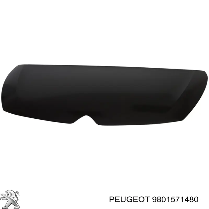 Купити 9801571480 Peugeot/Citroen Капот