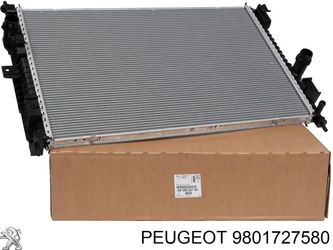 Купити 9801727580 Peugeot/Citroen 
