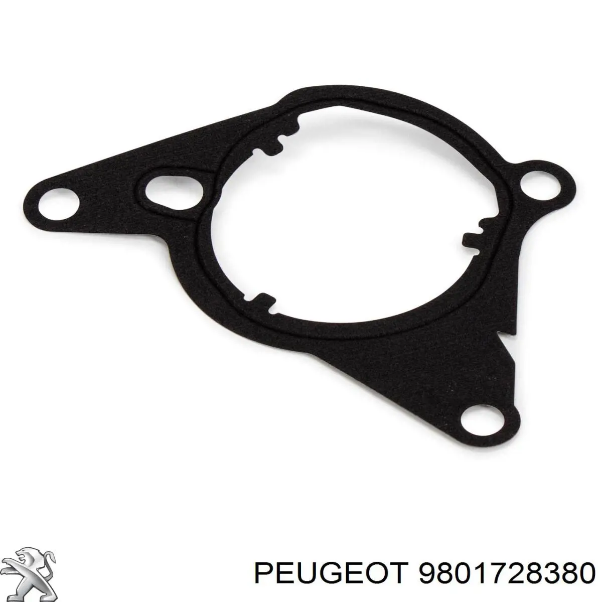9801728380 Peugeot/Citroen Прокладка вакуумного насоса