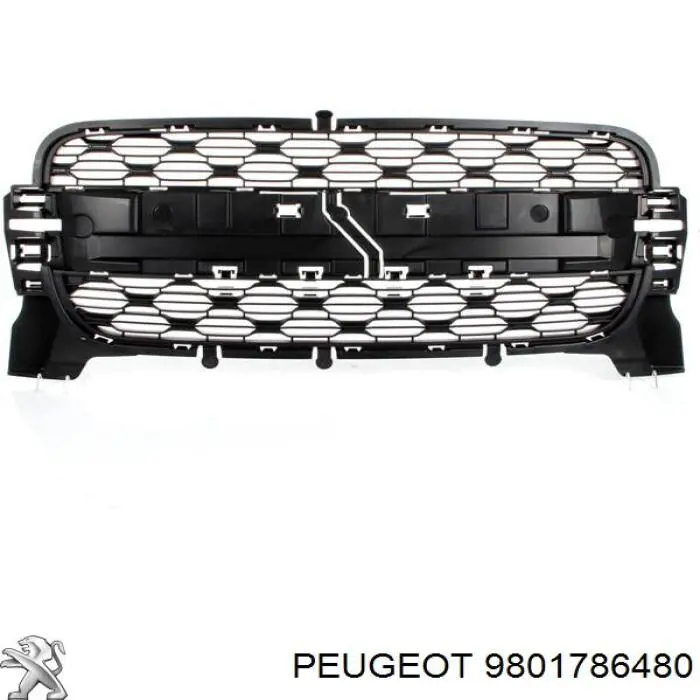 9801786480 Peugeot/Citroen 