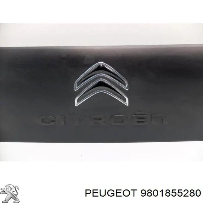 9801855280 Peugeot/Citroen 