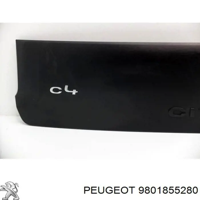  9801855280 Peugeot/Citroen