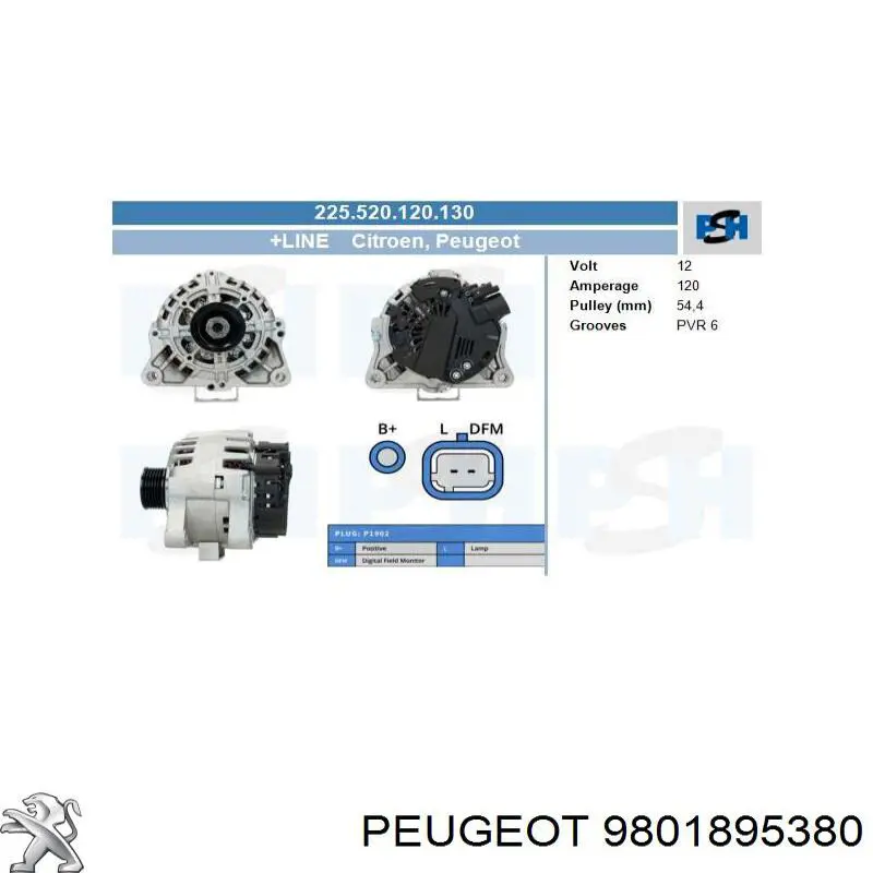 Купити 9801895380 Peugeot/Citroen Генератор