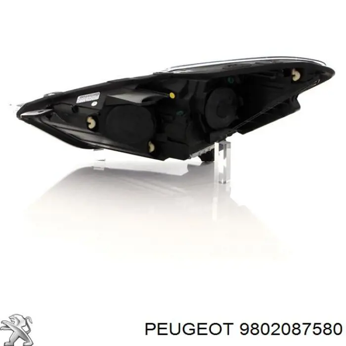 9802087580 Peugeot/Citroen 