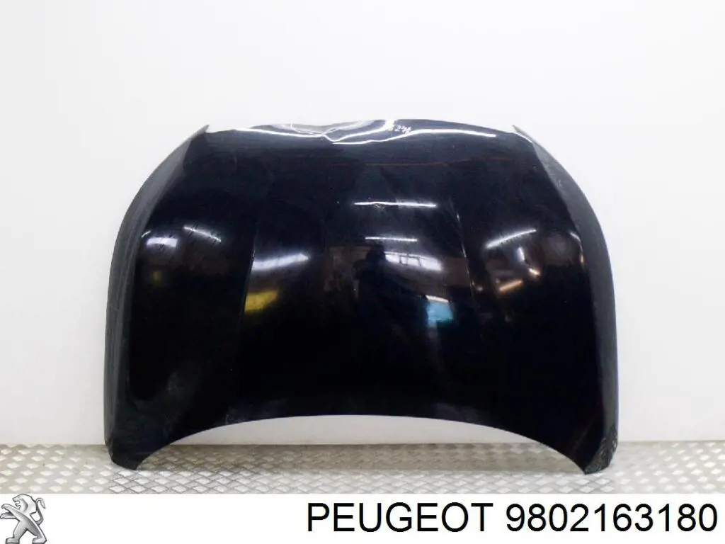 9802163180 Peugeot/Citroen капот