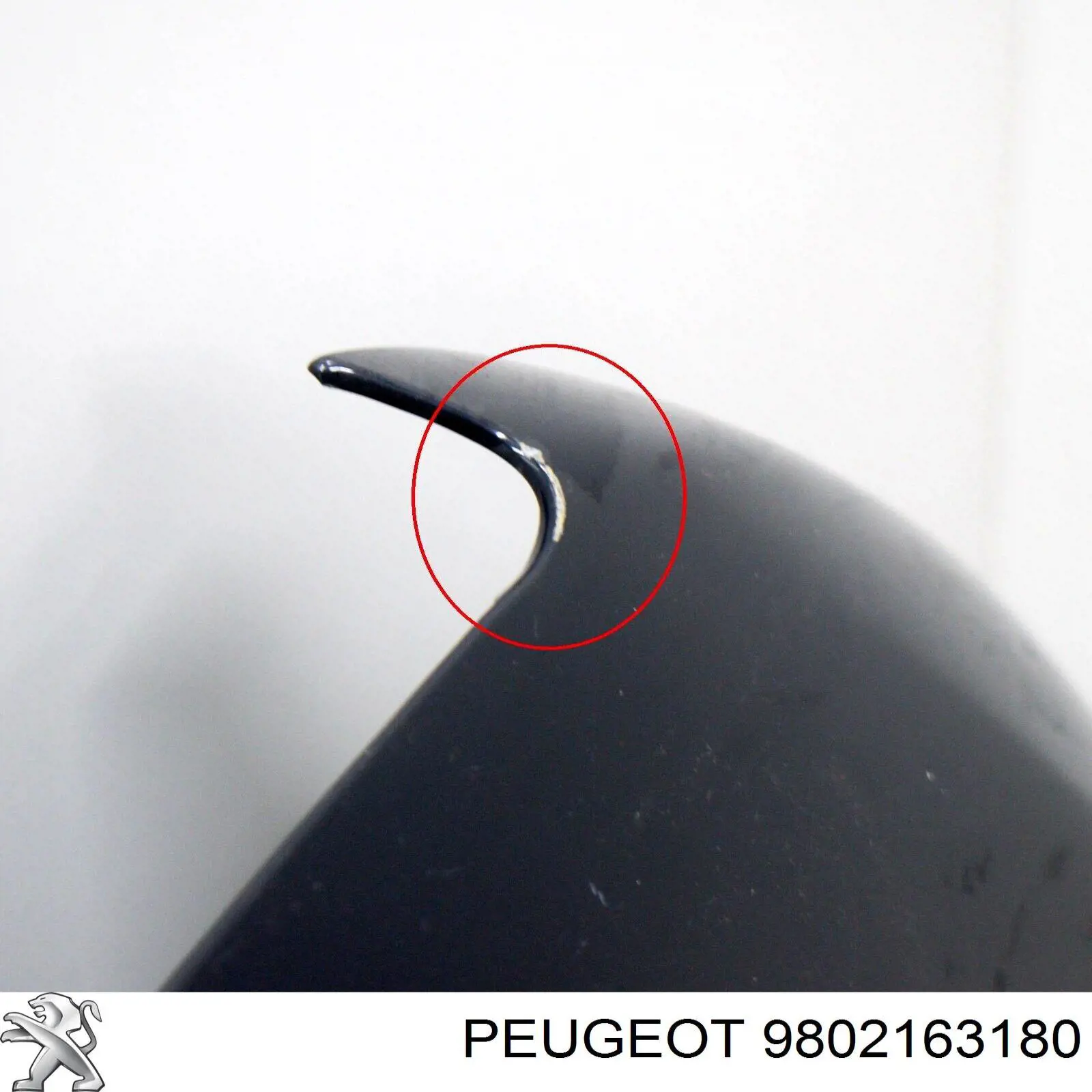 Купити 9802163180 Peugeot/Citroen Капот
