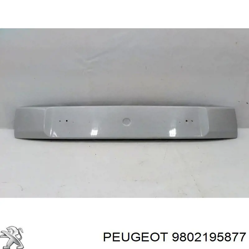  9802195877 Peugeot/Citroen