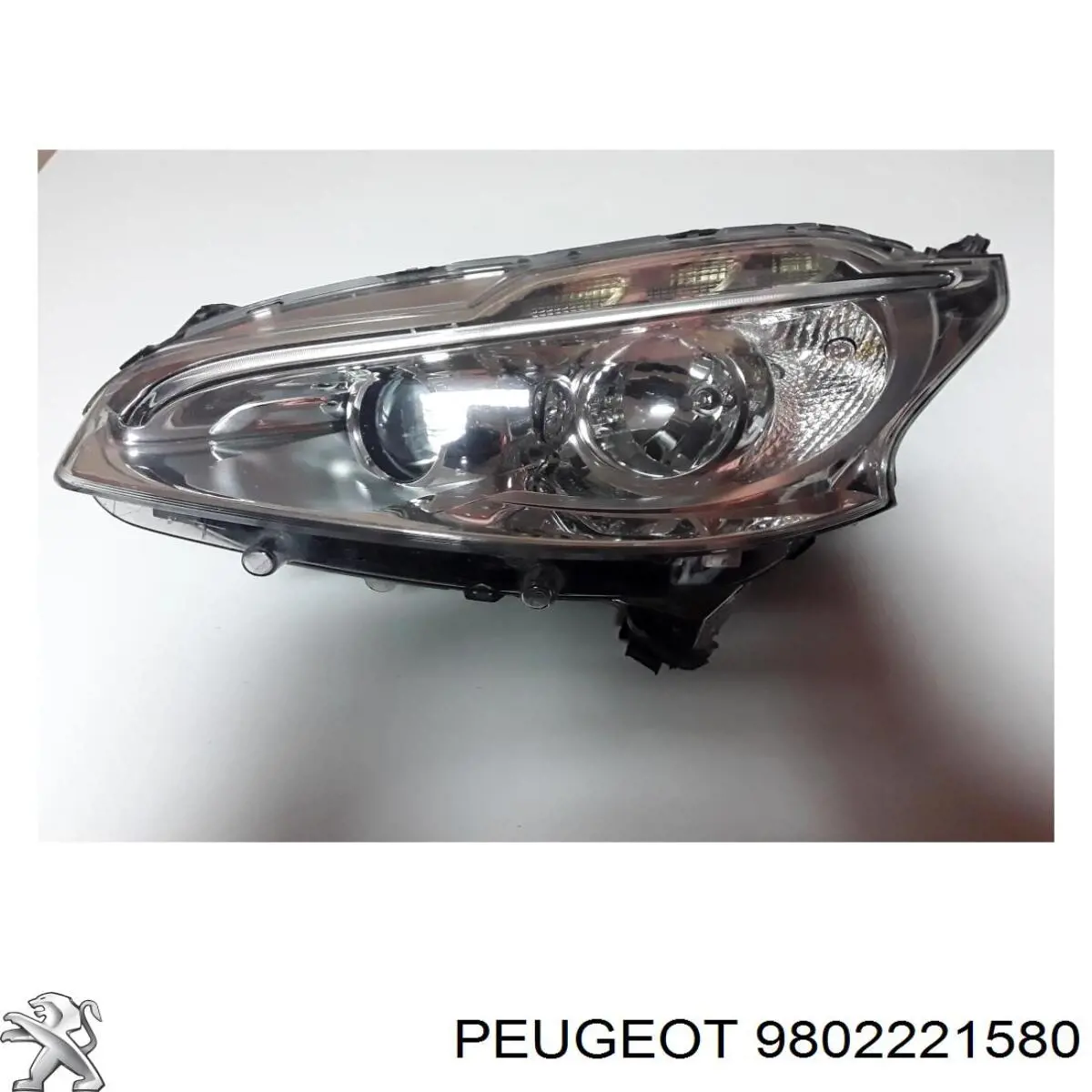 9802221580 Peugeot/Citroen