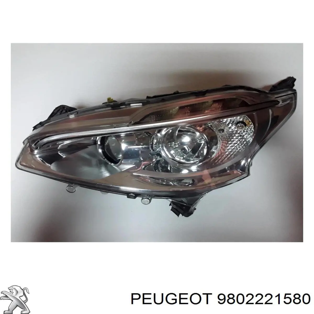 9802221580 Peugeot/Citroen 