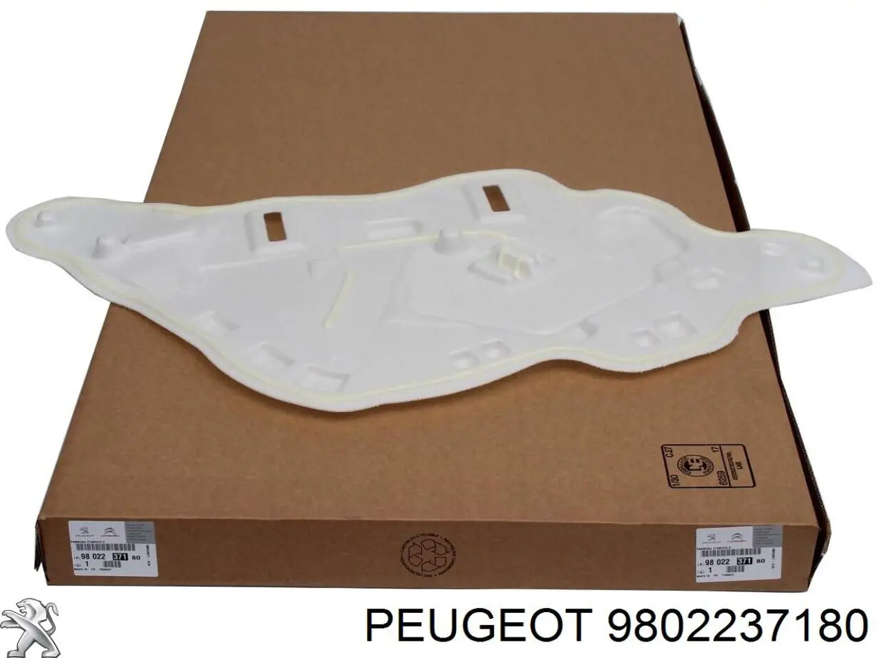 9802237180 Peugeot/Citroen 