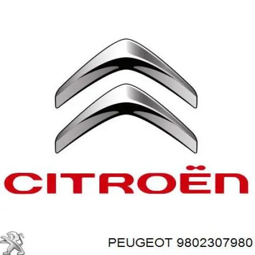 9802307980 Peugeot/Citroen 