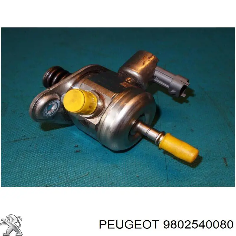  9815930180 Peugeot/Citroen