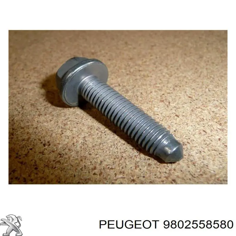 Купити 9802558580 Peugeot/Citroen 