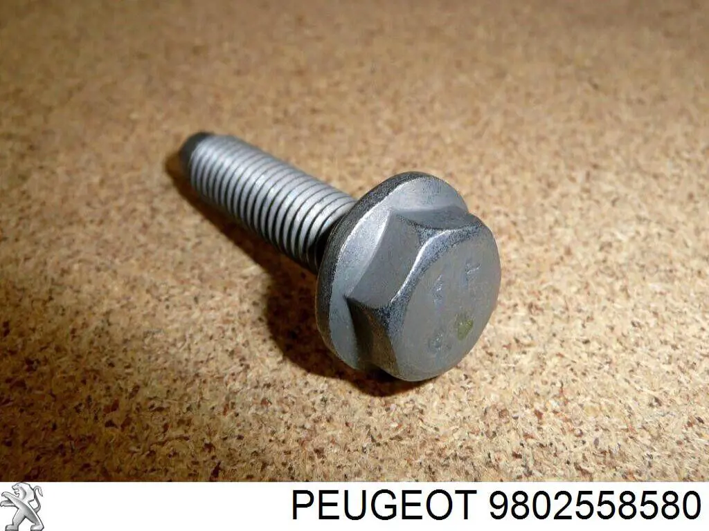 9802558580 Peugeot/Citroen 