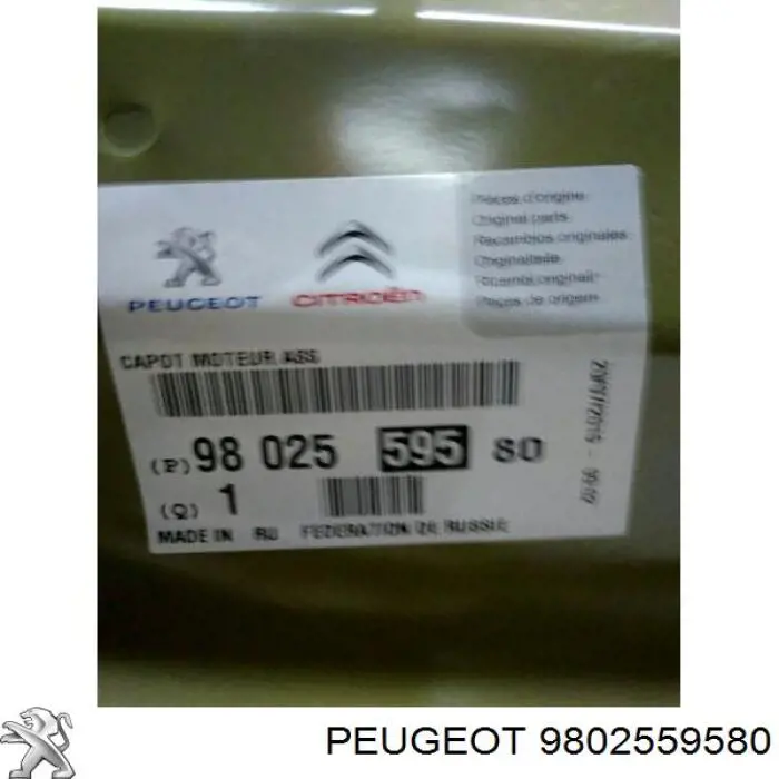 Купити 9802559580 Peugeot/Citroen Капот