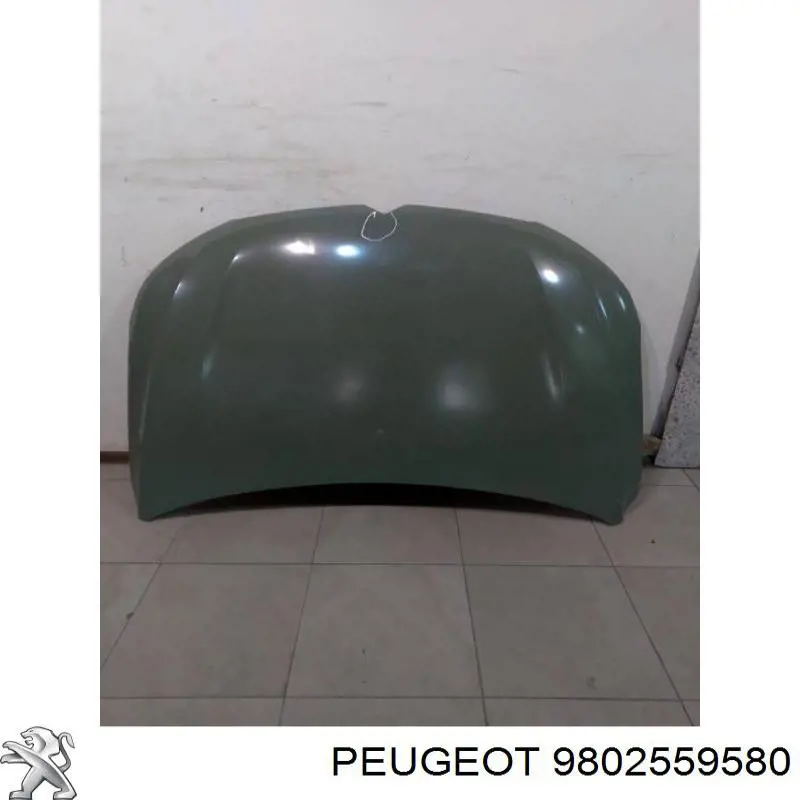 Капот Peugeot/Citroen 9802559580 ціна, від 659.10 USD