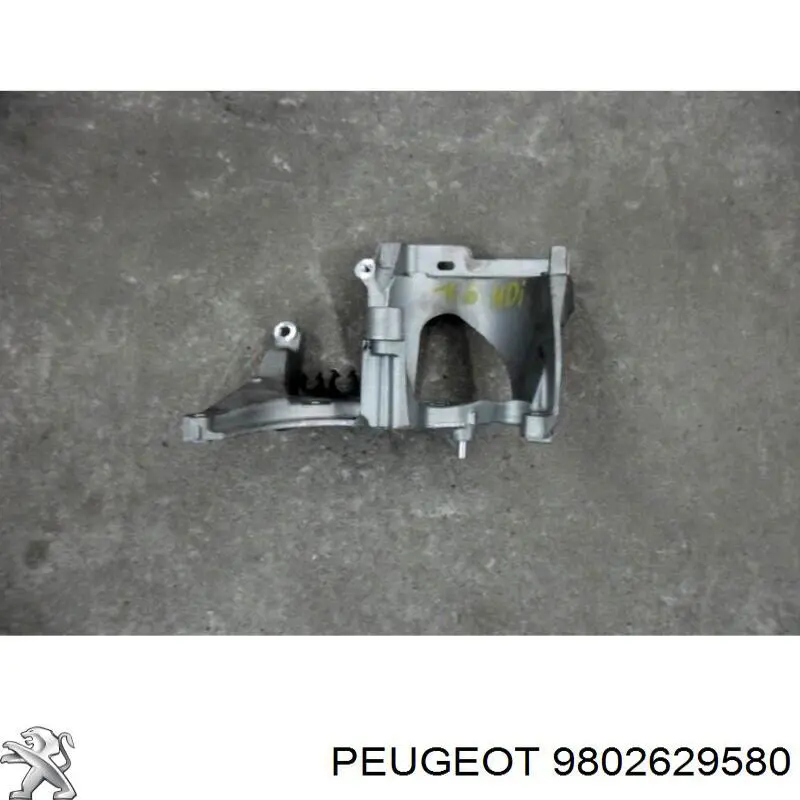 9802629580 Peugeot/Citroen 