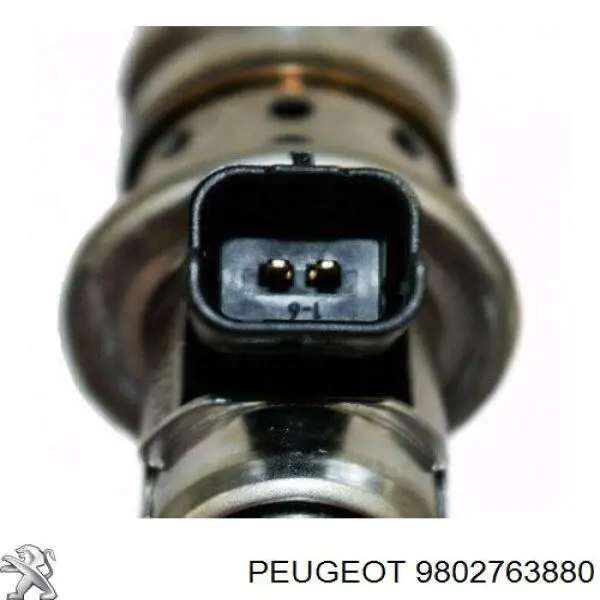  Peugeot/Citroen 9802763880