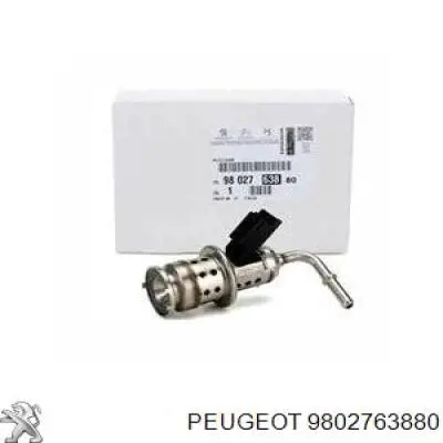 9802763880 Peugeot/Citroen Форсунка вприскування AD BLUE
