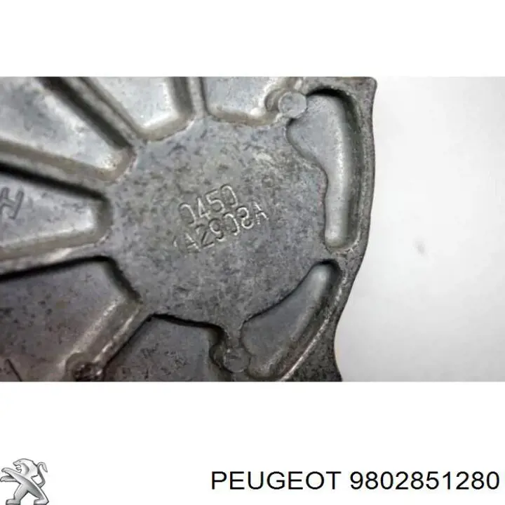 9802851280 Peugeot/Citroen насос вакуумний