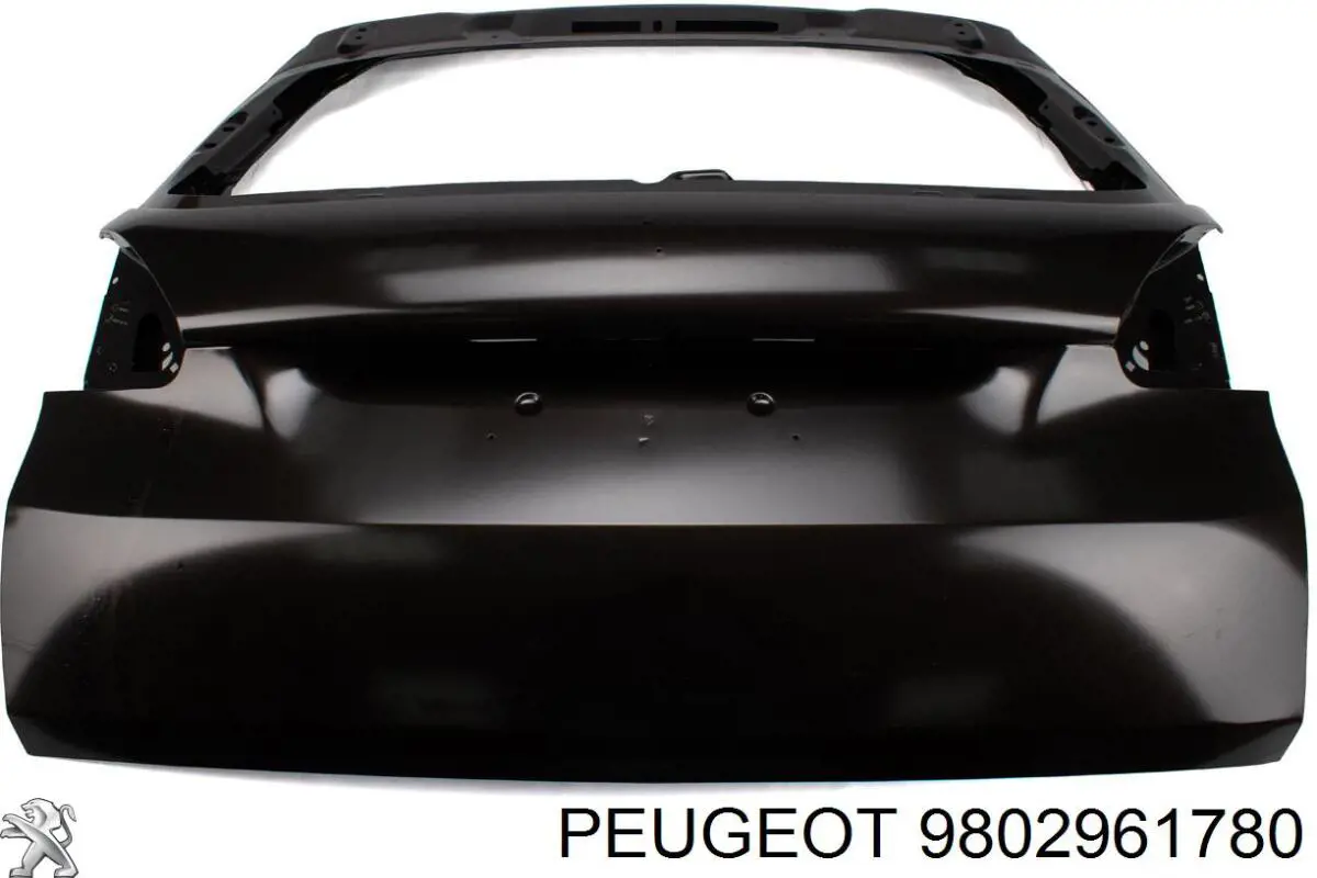 9802961780 Peugeot/Citroen 