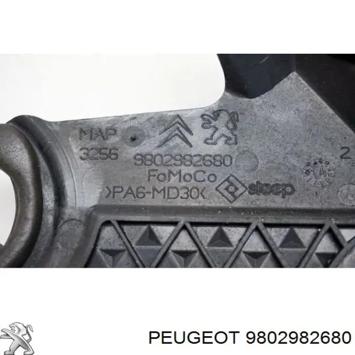 9802982680 Peugeot/Citroen 