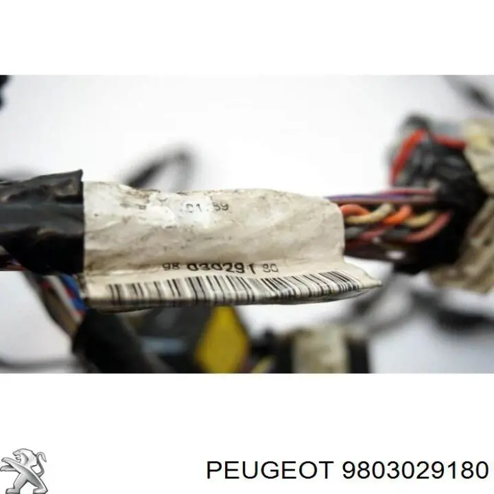 9803029180 Peugeot/Citroen Електропроводка моторного віддсіка