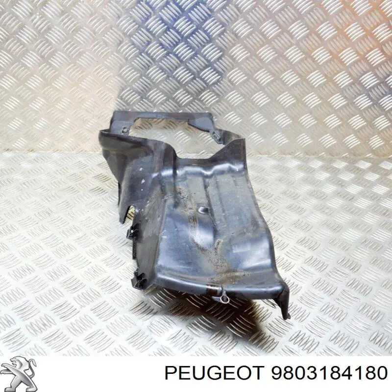  9803184180 Peugeot/Citroen