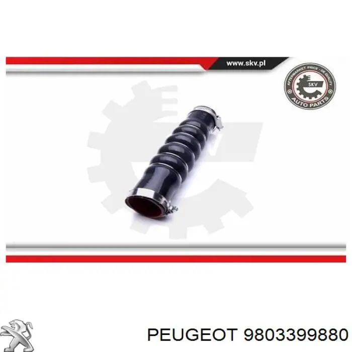 Купити 9803399880 Peugeot/Citroen Шланг/патрубок интеркуллера