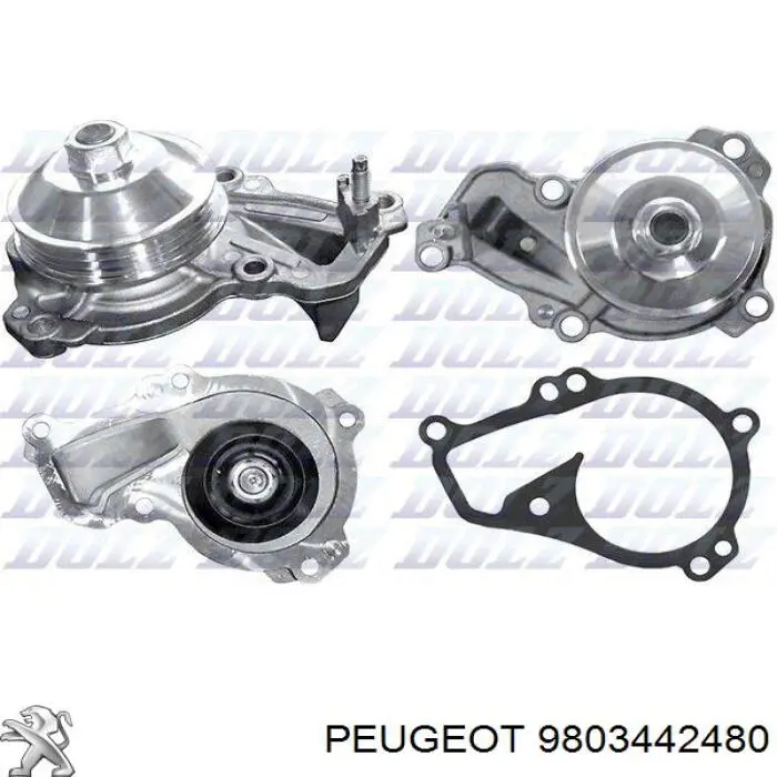 Помпа охолодження Peugeot/Citroen 3639521 ціна, від 47.54 USD