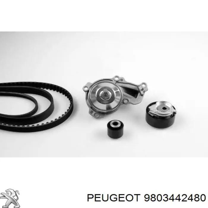 Помпа 3639521 Peugeot/Citroen