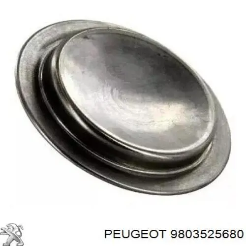 9803525680 Peugeot/Citroen