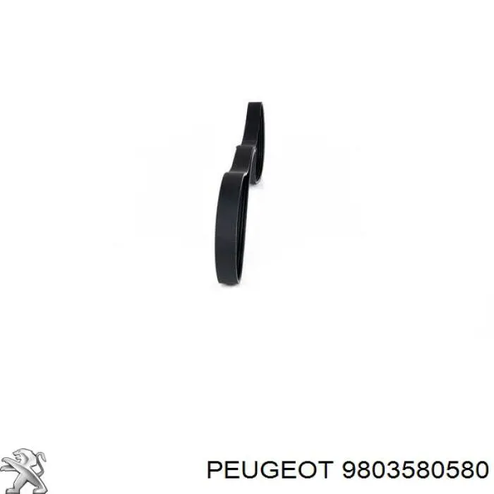 Купити 9803580580 Peugeot/Citroen Ремінь генератора