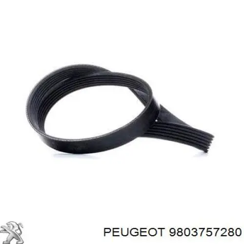 Ремінь генератора 9803757280 Peugeot/Citroen