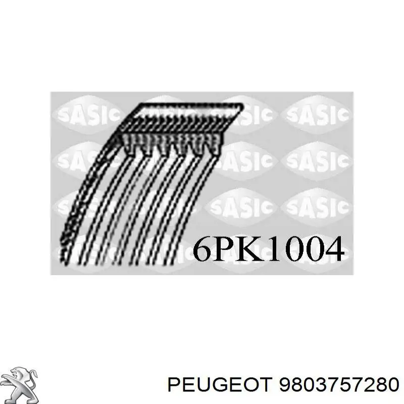 6PK1004 Sasic Поліклиновий ремінь