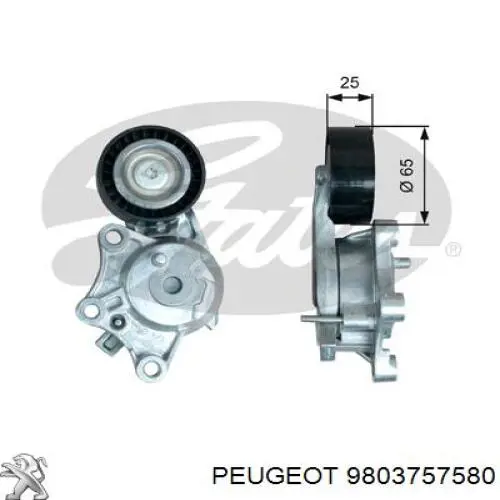 Купити 9803757580 Peugeot/Citroen Натягувач приводного ременя