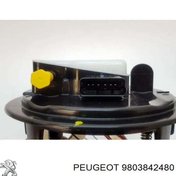 Бензонасос 9803842480 Peugeot/Citroen