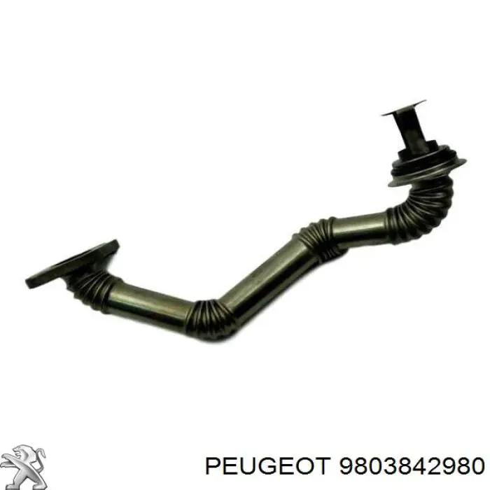 9803842980 Peugeot/Citroen Патрубок системи рециркуляції ВГ