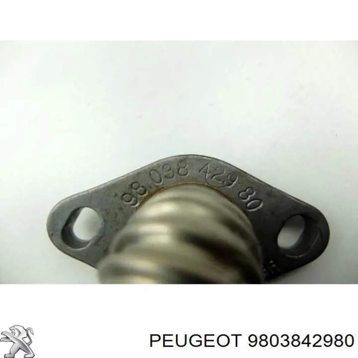 Купити 9803842980 Peugeot/Citroen Патрубок системи рециркуляції ОГ EGR