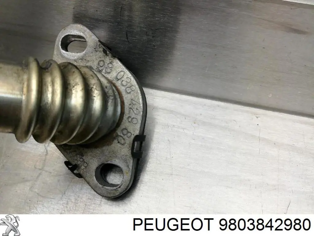Патрубок радіатора системи рециркуляції ОГ Peugeot/Citroen 9803842980 ціна, від 57.77 USD