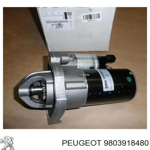 Купити 9803918480 Peugeot/Citroen 
