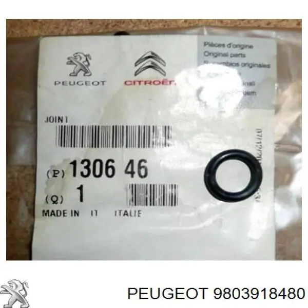  3639874 Peugeot/Citroen