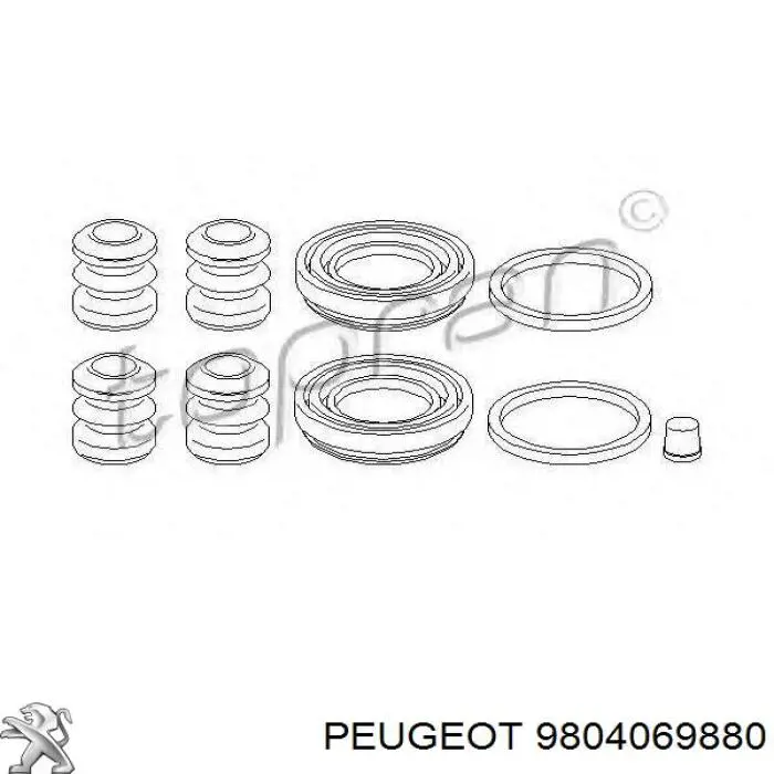 9804069880 Peugeot/Citroen Амортизатор кришки багажника / двері 3/5-ї задньої